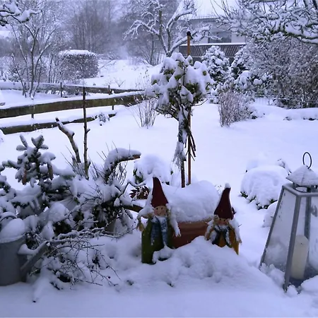 Cosy With Garden, Cleaning Included Medebach